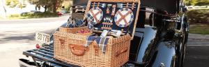 Picnic Time
